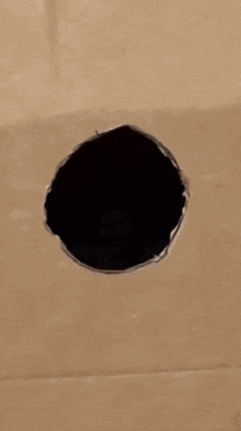 a black cat looking out of a hole in a cardboard box