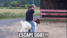 Escape Goat GIF - Escape Goat Escape Goat GIFs