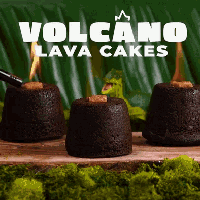 Dry Ice Volcano Cake | Susan's Homeschool Blog