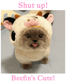 a picture of a cat wearing a cow hat with the words shut up beefin 's cute below it
