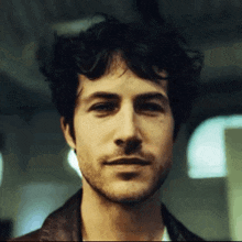 a close up of a man 's face with a beard and curly hair
