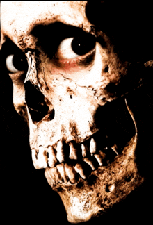 a close up of a skull with teeth and a black eye
