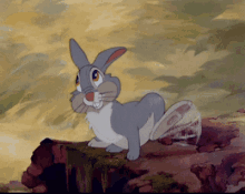 Thumper Rabbit GIF - Thumper Rabbit Bunny GIFs