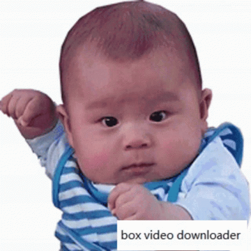 Child Funny Videos GIFs | Tenor