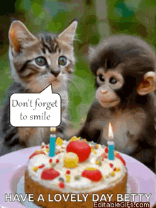 a cat and a monkey sitting next to a birthday cake with candles