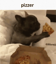 Pizzer GIF - Pizzer GIFs