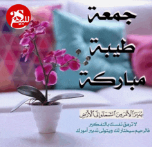 a purple flower in a white pot with arabic writing on the bottom