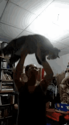 Weight Lifting Time Dog GIF - Weight Lifting Time Dog GIFs