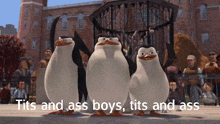 three penguins are standing next to each other with the caption tits and ass boys