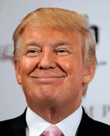 Donald Trump Smile GIF - Donald Trump Smile Smirk GIFs