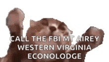 a cat is making a funny face and says `` call the fbi mt airey western virginia econolodge ''