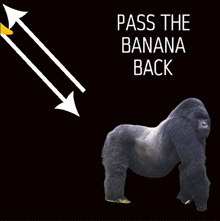 Pass The GIF - Pass The Banana GIFs