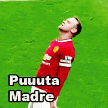 Puta Madre GIF - Faint Soccer Player GIFs