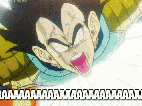 vegeta-lost-it.gif