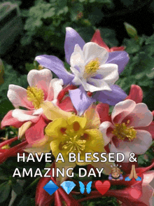 Beautiful Flowers For A Wonderful Day GIF - Beautiful Flowers For A Wonderful Day GIFs