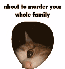 cat murder
