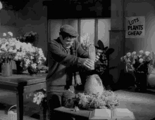 Little Shop Of Horrors 1960 GIF - Little Shop Of Horrors 1960 GIFs