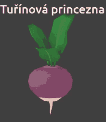 Turnip Princezna GIF - Turnip Princezna GIFs