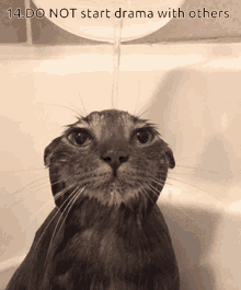Water Bath GIF - Water Bath Do Not Start Drama With Others GIFs