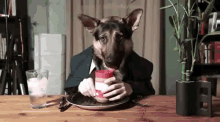 Delicious Decadent Dinner For Dog GIF - Animals Dogs Suit GIFs