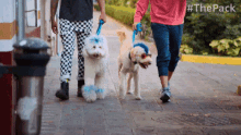 Walk The Pack GIF - Walk The Pack Walk With The Dog GIFs