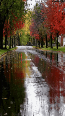 Raining Street GIF - Raining Street Tree GIFs
