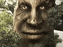 a statue of a tree shaped like a human face