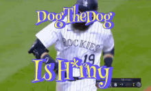 Dogthedog GIF - Dogthedog GIFs