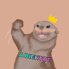 Otter Loutre GIF - Otter Loutre Cute GIFs