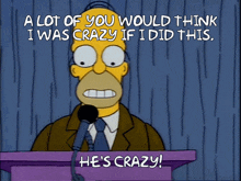 Simpsons Crazy GIF - Simpsons Crazy Homer Simpson GIFs
