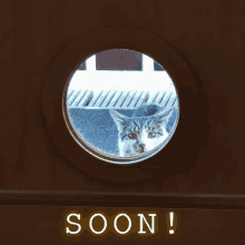 Soon Cat GIF - Soon Cat Kitten GIFs