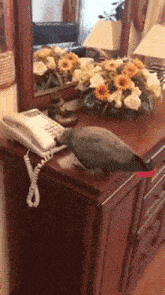 Parrot Phone GIF - Parrot Phone Drop GIFs