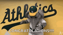 a mascot for the oakland athletics is standing in front of a sign that says congratulations !!!
