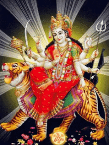 Maa Vaishno Devi GIF - Maa Vaishno Devi Tiger GIFs