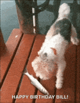 a small dog is eating a fish on a wooden dock ..