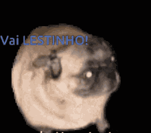 a pug dog with the words " vai lestinho " written above it