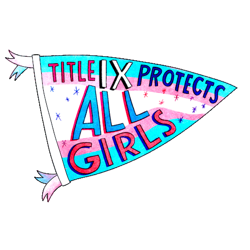 All Girls Title Ix Sticker - All Girls Title Ix Let Trans Kids Play Stickers