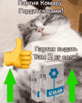 a cat gives a thumbs up next to a box of salt