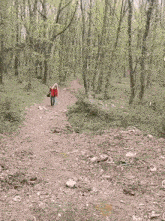 a couple walking down a path in the woods