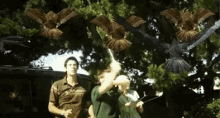 Birdemic Attack GIF - Birdemic Attack Birds GIFs