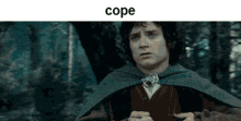 Lord Of The Rings Lotr GIF - Lord Of The Rings Lotr Cope GIFs
