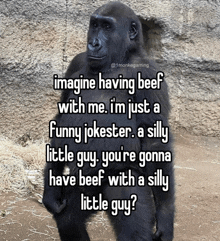 a gorilla says imagine having beef with me i 'm just a funny jokester a silly little guy