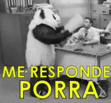 Meresponde Panda Bravo Furioso GIF