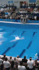 a crowd of people are watching a dolphin show