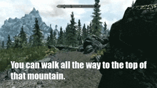 a screenshot of a video game with the words " you can walk all the way to the top of that mountain "