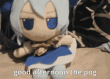 Good Afternoon The Pog GIF - Good Afternoon The Pog Touhou GIFs