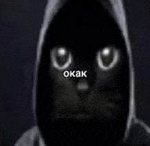 a black cat with white eyes is wearing a hoodie and looking at the camera .