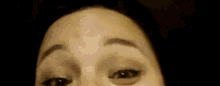 Shanlush Forehead GIF - Shanlush Forehead GIFs