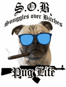 Pug Life GIF - Pug Life Thug GIFs