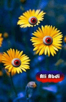 Flower Eye GIF